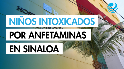 Tres menores fueron hospitalizados; todos ya se encuentran dados de alta. La Fiscalía del Estado investiga el caso.

Para más información del tema, visita: https://www.eleconomista.com.mx/politica/14-ninos-intoxicados-anfetaminas-eldorado-confirma-secretaria-salud-sinaloa-20250503-757499.html

¡Síguenos en nuestras redes sociales para mantenerte informado!

Twitter: https://twitter.com/eleconomista 
Facebook: https://www.facebook.com/ElEconomista.mx
Instagram: https://www.instagram.com/eleconomistamx
LinkedIn: https://www.linkedin.com/company/el-economista/

#ElEconomista #EETV