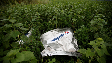 Restos de un Boeing 777 de Malaysia Airlines yacen en el suelo cerca del pueblo de Rozsypne, en la región de Donetsk, el 18 de julio de 2014.