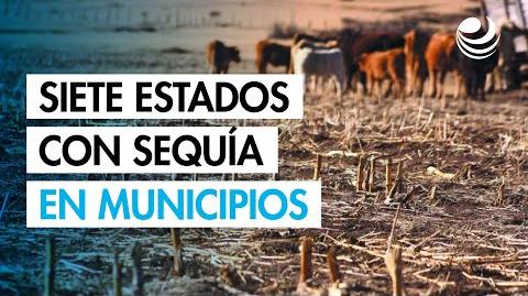De acuerdo con la Comisión Nacional del Agua, en las entidades del norte se marcan las peores condiciones, debido a que cuatro estados de esa región cerraron en 2024 con la totalidad de sus municipios en sequía.

Para más información del tema, visita: https://www.eleconomista.com.mx/ 

¡Síguenos en nuestras redes sociales para mantenerte informado!

Twitter: https://twitter.com/eleconomista 
Facebook: https://www.facebook.com/ElEconomista.mx
Instagram: https://www.instagram.com/eleconomistamx
LinkedIn: https://www.linkedin.com/company/el-economista/

#ElEconomista #EETV