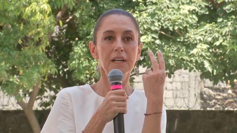 Claudia Sheinbaum pidió a la OEA guardar su opinión.