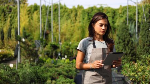 emprendimientos en el sector agropecuario