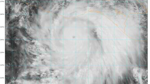 El NHC añadió que se espera un rápido fortalecimiento del meteoro este miércoles, hasta que alcance la potencia de un "huracán mayor", que en la escala Saffir-Simpson es a partir de la categoría 3 de 5.

Para más información del tema, visita: https://www.eleconomista.com.mx/internacionales/huracan-erick-fortalece-categoria-2-pacifico-cerca-mexico-20250618-764285.html

¡Síguenos en nuestras redes sociales para mantenerte informado!

Twitter: https://twitter.com/eleconomista 
Facebook: https://www.facebook.com/ElEconomista.mx
Instagram: https://www.instagram.com/eleconomistamx
LinkedIn: https://www.linkedin.com/company/el-economista/

#ElEconomista #EETV