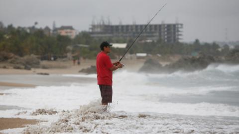 A las 18:00 horas, Erick se encontraba a unos 90 kilómetros al sur-sureste de Puerto Ángel, una localidad costera de Oaxaca, y soplaba vientos máximos sostenidos de 195 kilómetros por hora (km/h)

Para más información del tema, visita: https://www.eleconomista.com.mx/estados/erick-fortalece-huracan-categoria-3-acerca-costas-guerrero-oaxaca-20250618-764346.html

¡Síguenos en nuestras redes sociales para mantenerte informado!

Twitter: https://twitter.com/eleconomista 
Facebook: https://www.facebook.com/ElEconomista.mx
Instagram: https://www.instagram.com/eleconomistamx
LinkedIn: https://www.linkedin.com/company/el-economista/

#ElEconomista #EETV