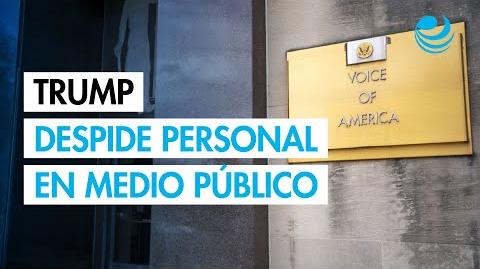 El gobierno de Donald Trump anunció el recorte de 1,400 empleos en la estación de radio pública que transmitía en 49 idiomas a una audiencia estimada de 354 millones de personas cada semana.

Para más información del tema, visita: https://www.eleconomista.com.mx/internacionales/gobierno-trump-recorta-empleos-radiodifusora-publica-voz-america-20250620-764662.html 

¡Síguenos en nuestras redes sociales para mantenerte informado!

Twitter: https://twitter.com/eleconomista 
Facebook: https://www.facebook.com/ElEconomista.mx
Instagram: https://www.instagram.com/eleconomistamx
LinkedIn: https://www.linkedin.com/company/el-economista/

#ElEconomista #EETV