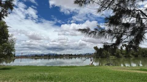 Parque El Cedazo, se creo en 1996 con la finalidad de rescatar el área de manantial.