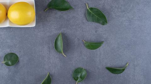 té