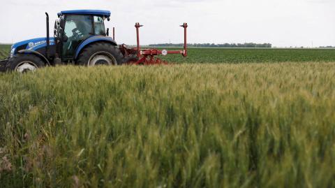 La Unión Europea recortará hasta 80% las importaciones de trigo y azúcar ucranianos para atender las preocupaciones de sus agricultores.

Para más información del tema, visita: https://www.eleconomista.com.mx/mercados/ue-reducira-importaciones-ucranianas-trigo-azucar-20250706-766918.html 

¡Síguenos en nuestras redes sociales para mantenerte informado!

Twitter: https://twitter.com/eleconomista 
Facebook: https://www.facebook.com/ElEconomista.mx
Instagram: https://www.instagram.com/eleconomistamx
LinkedIn: https://www.linkedin.com/company/el-economista/

#ElEconomista #EETV #Trigo #Ucrania