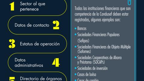 ¿Qué datos puedes ver en el Sipres?
