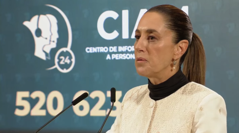 La presidenta Claudia Sheinbaum condenó las recientes redadas migratorias en los campos de Estados Unidos y agregó que al menos 355 mexicanos han sido detenidos a la fecha por los operativos de la Administración Trump.