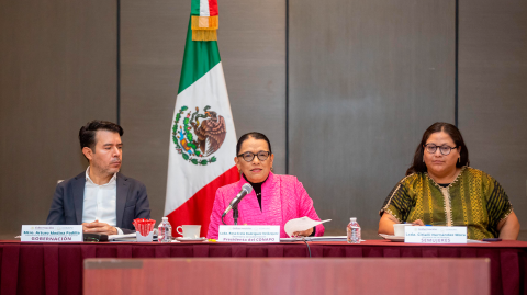 Rosa Icela Rodríguez, Secretary of the Interior.