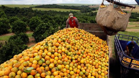 El ministerio ha llamado a las principales entidades que representan a los sectores más afectados por la tasa.

Para más información del tema, visita: https://www.eleconomista.com.mx/internacionales/brasil-busca-nuevos-mercados-arancel-50-estados-unidos-alimentos-20250711-767810.html 

¡Síguenos en nuestras redes sociales para mantenerte informado!

Twitter: https://twitter.com/eleconomista 
Facebook: https://www.facebook.com/ElEconomista.mx
Instagram: https://www.instagram.com/eleconomistamx
LinkedIn: https://www.linkedin.com/company/el-economista/

#ElEconomista #EETV #Brasil