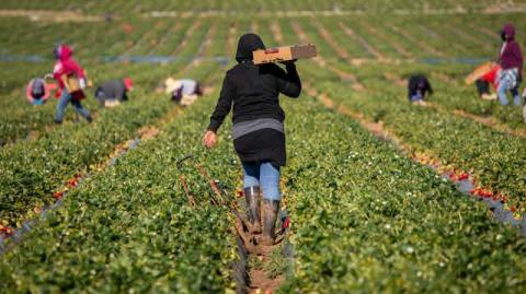 Según un nuevo estudio, los inmigrantes acaban trabajando en sectores, ocupaciones y empresas con salarios más bajos. Foto: Shutterstock