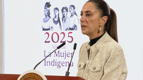 El tráfico de fentanilo de México a Estados Unidos se ha reducido un 50% desde el inicio de la administración de la presidenta Claudia Sheinbaum en octubre pasado, informó la mañana de este jueves la mandataria.

Para más información del tema, visita: https://www.eleconomista.com.mx/politica/sheinbaum-presume-baja-50-trafico-fentanilo-estados-unidos-20250724-769625.html

¡Síguenos en nuestras redes sociales para mantenerte informado!

Twitter: https://twitter.com/eleconomista 
Facebook: https://www.facebook.com/ElEconomista.mx
Instagram: https://www.instagram.com/eleconomistamx
LinkedIn: https://www.linkedin.com/company/el-economista/

#ElEconomista #EETV