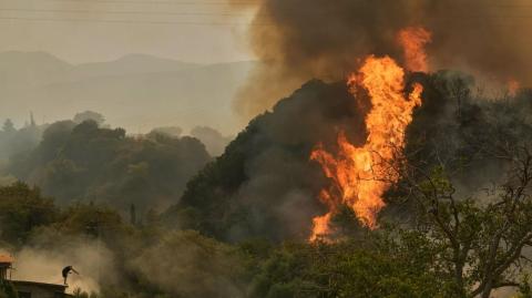 Incendios en el sur de Europa.