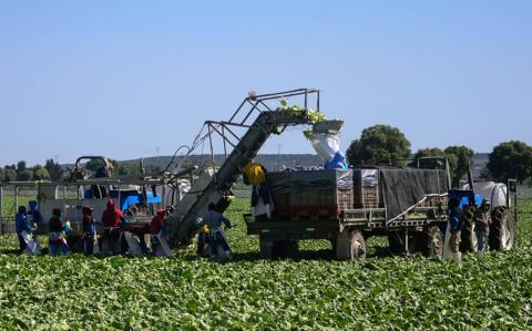 La construcción (4,000 millones), agricultura (2,500 millones), así como alimentos y bebidas (1,400 millones) fueron las tres industrias más grandes dependientes de la naturaleza. Foto EE: Archivo