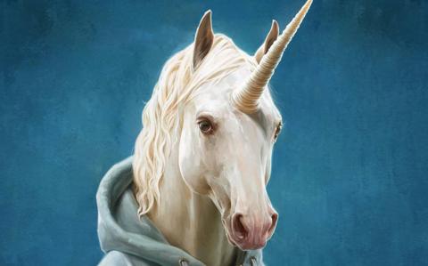 Convertirse en unicornio es mucho más complicado que hace un par algunos meses. (Shutterstock)