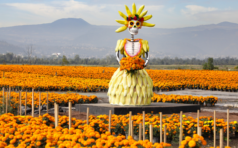 Artesanía y cultura se entrelazan en la Apertura de Venta de la Flor de Cempasúchil. Foto EE: Eric Lugo