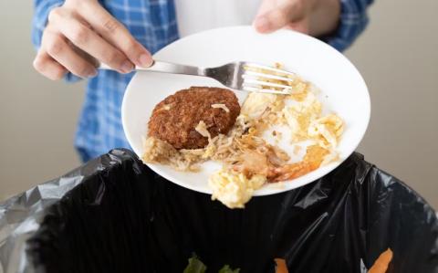 El desperdicio de alimentos se refiere a cualquier pérdida de alimentos por deterioro o desecho. Foto: Shutterstock