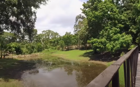 Imagen de la quinta "La Chingada", en Palenque, Chiapas.