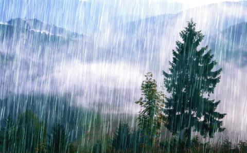 Pouring rain over the green summer Carpathian foggy mountain hills. Rainy weather. Spruce trees in front of a mountain range.