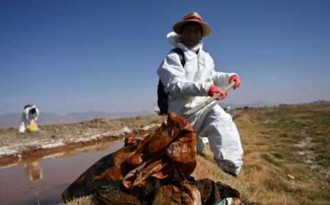 Voluntarios participan en una campaña para limpiar las orillas del lago Uru Uru, en Oruro, Bolivia.