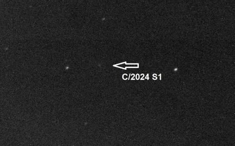 El cometa C/2024 S1 ATLAS captado con el telescopio robótico de 0.8 m Joan Oró, todavía lejano y con la apariencia de una ténue nube en una imagen de un minuto de exposición tomada el pasado 5 de octubre de 2024 (Observatori del Montsec/IEEC)