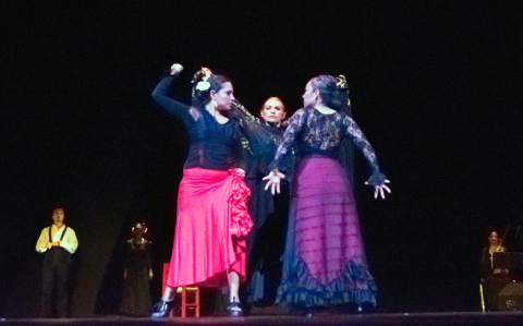 ¡Viva Flamenco!