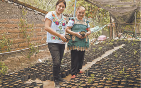 Mujeres comprometidas con el empoderamiento de otras mujeres productoras de mezcal