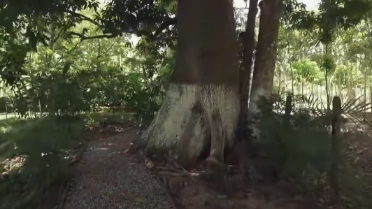 Imagen de la quinta "La Chingada", en Palenque, Chiapas.