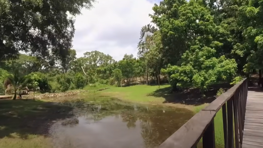 Imagen de la quinta "La Chingada", en Palenque, Chiapas.