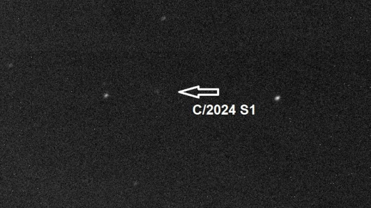 El cometa C/2024 S1 ATLAS captado con el telescopio robótico de 0.8 m Joan Oró, todavía lejano y con la apariencia de una ténue nube en una imagen de un minuto de exposición tomada el pasado 5 de octubre de 2024 (Observatori del Montsec/IEEC)