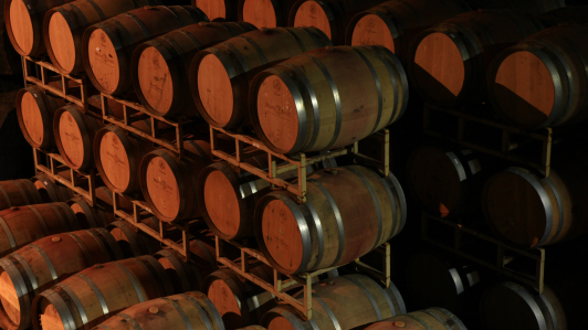 Adentrarse en la bodega, todo un descubrimiento.