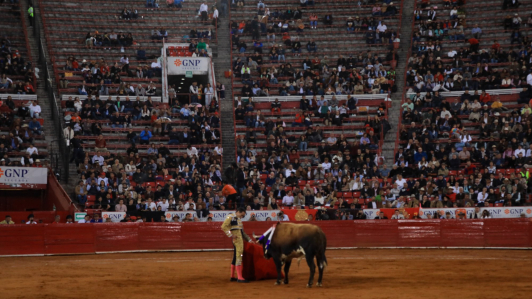 El matador Juan Pablo Sánchez en su participación en la Plaza México