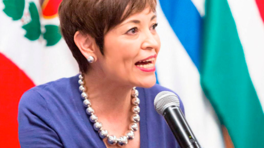 Gloria del Castillo Alemán, directora general de Flacso México.