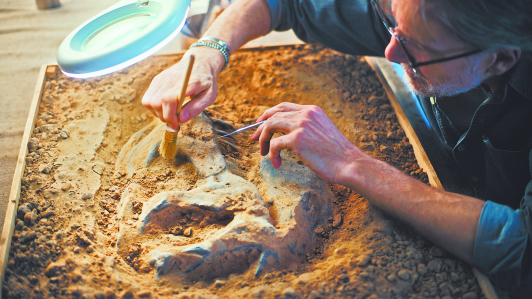 Con los estudios de ADN recuperado de osamentas y dientes antiguos, la arqueología dará un “salto cuántico” en torno a los estudios antropológicos. Foto: Shutterstock