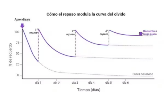 Gráfico que explica cómo el repaso periódico del contenido memorizado mejora la curva del olvido.