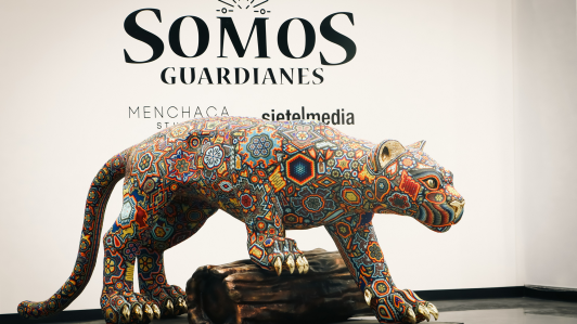 Exposición Somos Guardianes.