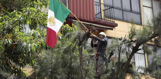 Palas, picos, cascos, botas y guantes de carnaza ocupa cada miembro que conforma al cuerpo de brigadistas en el multifamiliar de Tlalpan y Taxqueña.