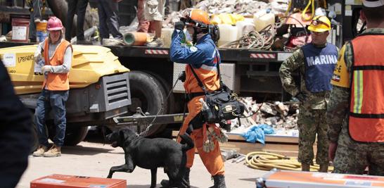 Palas, picos, cascos, botas y guantes de carnaza ocupa cada miembro que conforma al cuerpo de brigadistas en el multifamiliar de Tlalpan y Taxqueña.