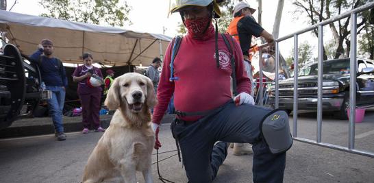 Un binomio canino perteneciente a lo Lobos Búsqueda y Rescate K9 Aguascalientes espera cerca de la zona de Tlalpan para seguir con la búsqueda de sobrevivientes.