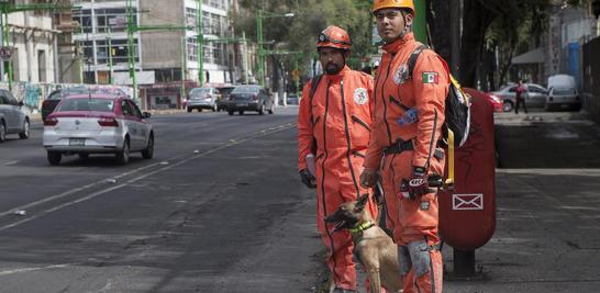 Gilberto Trujillo y Moisés Zavaleta de Birta Topos Azteca junto con Xira se retiran de la zona de desastre en la colonia centro para descansar después de haber detectado al menos a seis personas con vida.