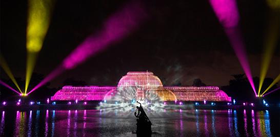 Esculturas, edificios y árboles se iluminan a lo largo del Real Jardín Botánico de Kew, en el sudoeste de Londres, Inglaterra como parte de las celebraciones previas a la navidad. Foto: Reuters.