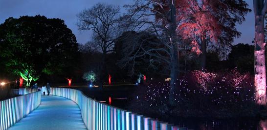 Esculturas, edificios y árboles se iluminan a lo largo del Real Jardín Botánico de Kew, en el sudoeste de Londres, Inglaterra como parte de las celebraciones previas a la navidad. Foto: Reuters.