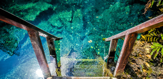 Los cenotes son puertas de acceso al inframundo mítico de los mayas, el Xibalbá. Fotos: Cortesía