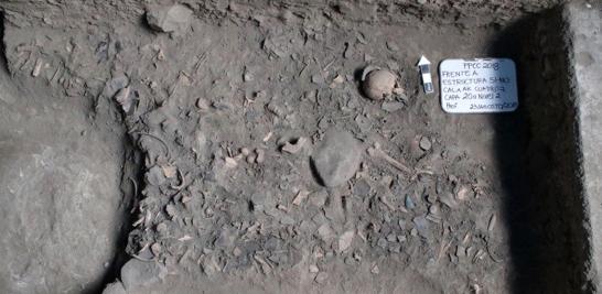 La excavación en la Plaza de las Columnas permitió determinar que algunas de sus estructuras sirvieron para actividades administrativas, ceremoniales y probablemente como residencia de las élites teotihuacanas y mayas.