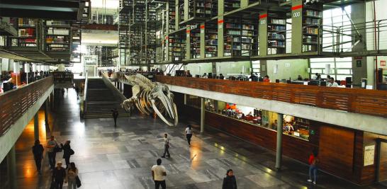 Así es la Biblioteca José Vasconcelos, edificio proyectado por el arquitecto mexicano Alberto Kalac, fue abierta al público en el 2006 y es hasta el 2013 que se convirtió en un espacio vivo, con un constante flujo de actividades y usuarios de diversos grupos sociales. Es el cuarto recinto cultural con más visitantes en México. Entre sus diversas esculturas, la más llamativa y emblemática es Mátrix Móvil, de Gabriel Orozco, ubicada al centro de la planta principal.