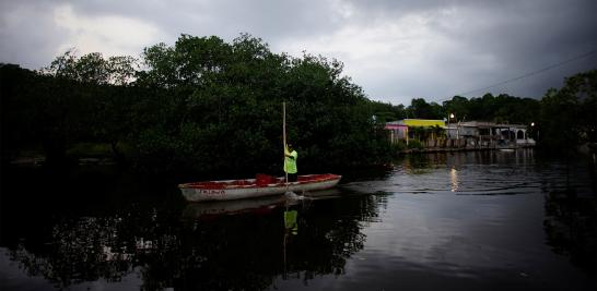 El presidente Andrés Manuel López Obrador informó que en marzo de 2019 arrancaría la licitación para construir la nueva refinería al lado del puerto de Dos Bocas, Tabasco. La construcción de la refinería podría ser un riesgo debido a la biodiversidad que alberga. La tierra es tan rica en vida silvestre que hace una década un grupo de funcionarios en Pemex propusieron que se declarara reserva privada por su importancia ambiental en la zona.