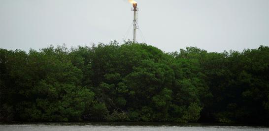 El presidente Andrés Manuel López Obrador informó que en marzo de 2019 arrancaría la licitación para construir la nueva refinería al lado del puerto de Dos Bocas, Tabasco. La construcción de la refinería podría ser un riesgo debido a la biodiversidad que alberga. La tierra es tan rica en vida silvestre que hace una década un grupo de funcionarios en Pemex propusieron que se declarara reserva privada por su importancia ambiental en la zona.