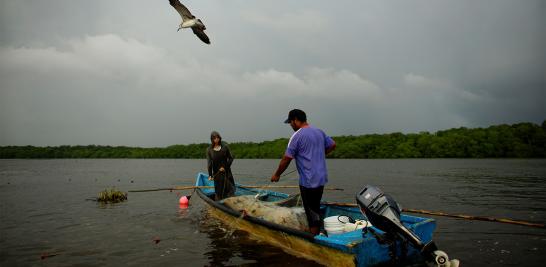 El presidente Andrés Manuel López Obrador informó que en marzo de 2019 arrancaría la licitación para construir la nueva refinería al lado del puerto de Dos Bocas, Tabasco. La construcción de la refinería podría ser un riesgo debido a la biodiversidad que alberga. La tierra es tan rica en vida silvestre que hace una década un grupo de funcionarios en Pemex propusieron que se declarara reserva privada por su importancia ambiental en la zona.