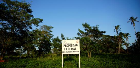 El presidente Andrés Manuel López Obrador informó que en marzo de 2019 arrancaría la licitación para construir la nueva refinería al lado del puerto de Dos Bocas, Tabasco. La construcción de la refinería podría ser un riesgo debido a la biodiversidad que alberga. La tierra es tan rica en vida silvestre que hace una década un grupo de funcionarios en Pemex propusieron que se declarara reserva privada por su importancia ambiental en la zona.